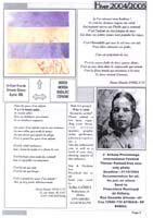 page 2 :  Gomez, Druenne, Mail art project, International Festival Brésil 