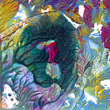 Marie Hic. 8 x 8 cm. 2002.